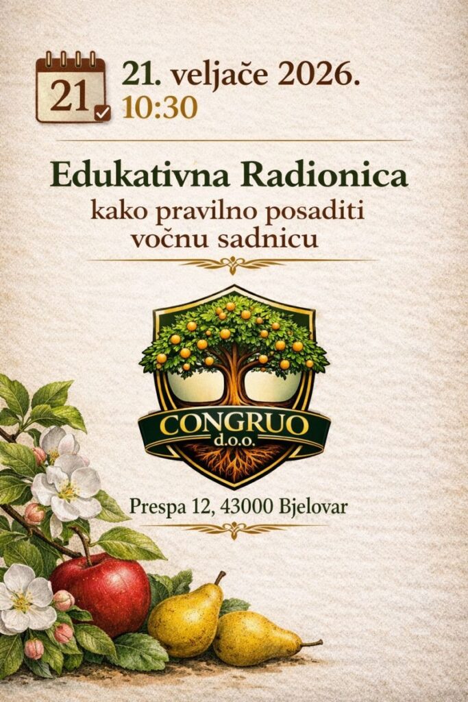 The current image has no alternative text. The file name is: edu_radionica.jpeg